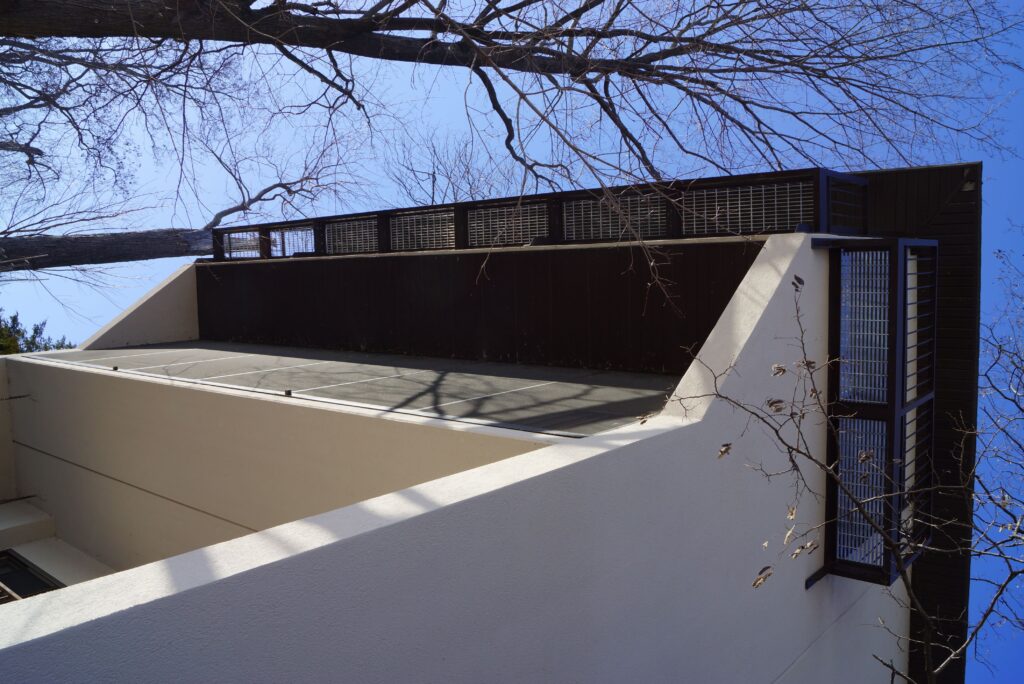 Home, tree, balcony and the sky