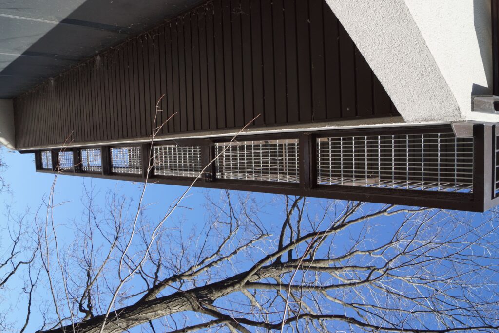 Home, tree, balcony and the sky